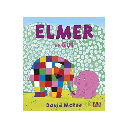 Elmer ve Gül - David McKee - Mundi