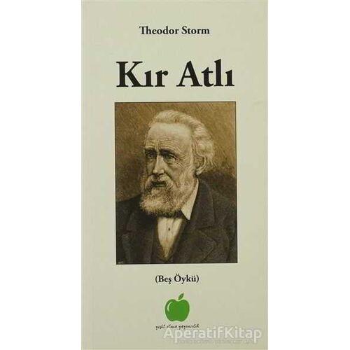 Kır Atlı - Theodor Storm - Yeşil Elma Yayıncılık