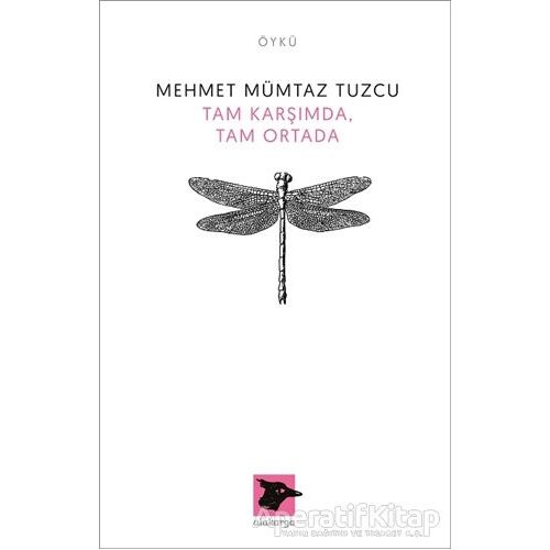 Tam Karşımda, Tam Ortada - Mehmet Mümtaz Tuzcu - Alakarga Sanat Yayınları