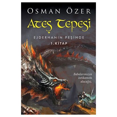 Ateş Tepesi Ejderhanın Peşinde 1. Kitap - Osman Özer - Cinius Yayınları