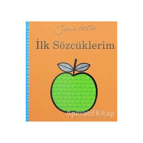 İlk Sözcüklerim - Jane Foster - Redhouse Kidz Yayınları