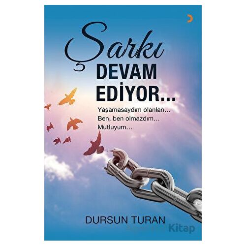 Şarkı Devam Ediyor - Dursun Turan - Cinius Yayınları