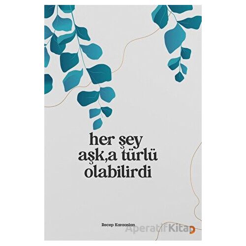 Her Şey Aşk’a Türlü Olabilirdi - Recep Karaaslan - Cinius Yayınları
