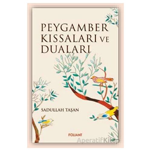 Peygamber Kıssaları ve Duaları - Sadullah Taşan - Foliant Yayınları