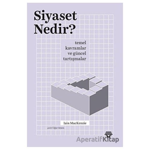 Siyaset Nedir? - Iain Mackenzie - Metropolis Yayınları