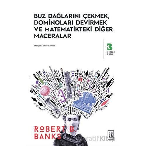 Buz Dağlarını Çekmek, Düşen Dominolar ve Diğer Uygulamalı Matematik Maceraları