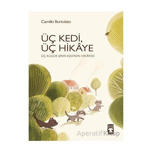 Üç Kedi, Üç Hikaye - Camillo Bortolato - Timaş Çocuk