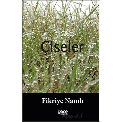 Çiseler - Fikriye Namlı - Gece Kitaplığı