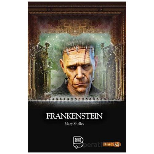 Frankenstein - Mary Shelley - Black Books