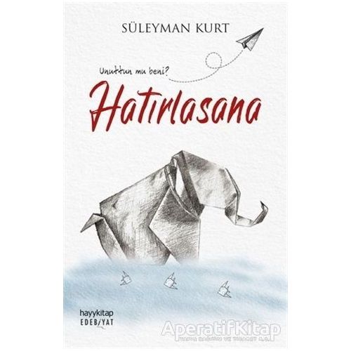 Hatırlasana - Süleyman Kurt - Hayykitap