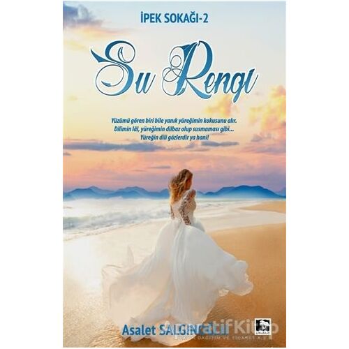 Su Rengi - Asalet Salgınoğlu - Çınaraltı Yayınları