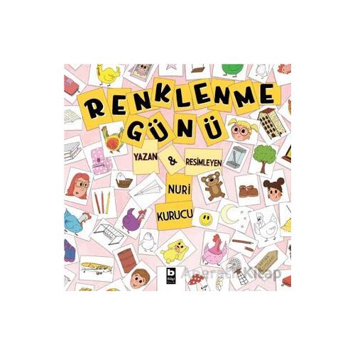 Renklenme Günü - Nuri Kurucu - Bilgi Yayınevi