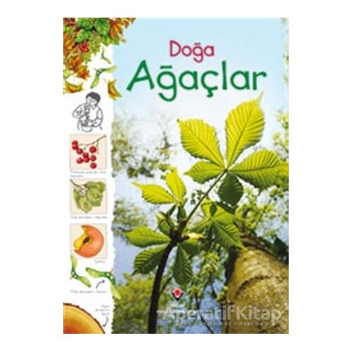 Doğa - Ağaçlar - Laura Howell - TÜBİTAK Yayınları