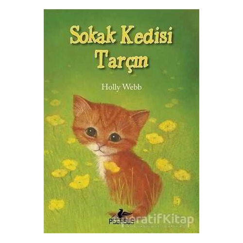 Sokak Kedisi Tarçın - Holly Webb - Pegasus Yayınları
