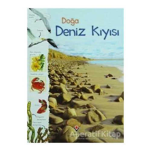 Doğa: Deniz Kıyısı - Sarah Courtauld - TÜBİTAK Yayınları