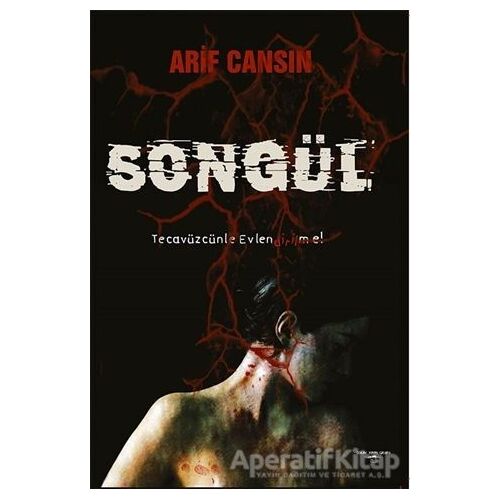 Songül - Arif Cansın - Sokak Kitapları Yayınları