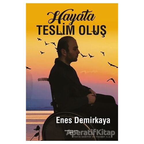 Hayata Teslim Oluş - Enes Demirkaya - Sokak Kitapları Yayınları