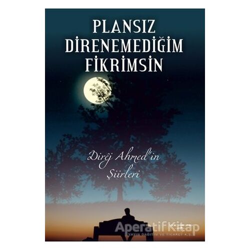 Plansız Direnemediğim Fikrimsin - Ahmet Altın - Sokak Kitapları Yayınları