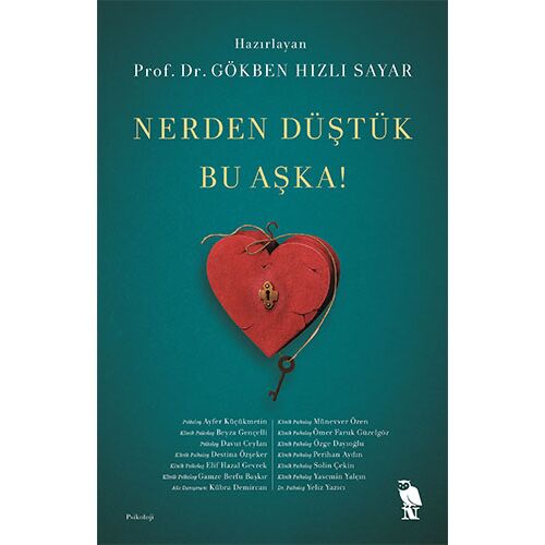 Nerden Düştük Bu Aşka! - Gökben Hızlı Sayar - Nemesis Kitap