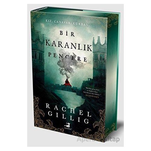 Bir Karanlık Pencere - Rachel Gillig - Olimpos Yayınları