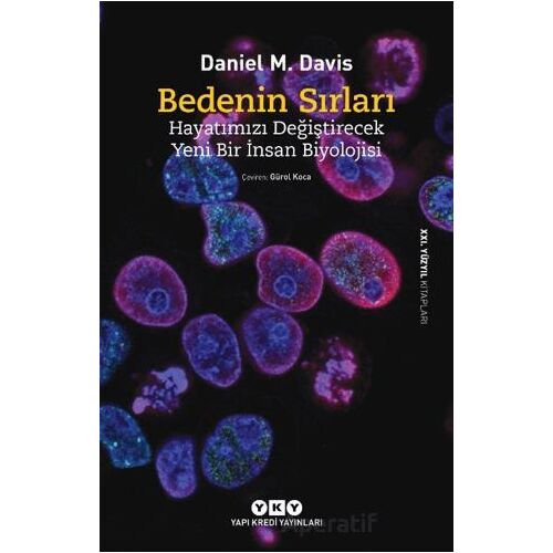 Bedenin Sırları - Daniel M. Davis - Yapı Kredi Yayınları