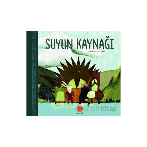 Suyun Kaynağı - Anna Aparicio Catala - Uçan Fil Yayınları