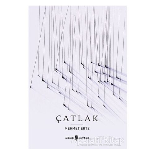 Çatlak - Mehmet Erte - Edebi Şeyler