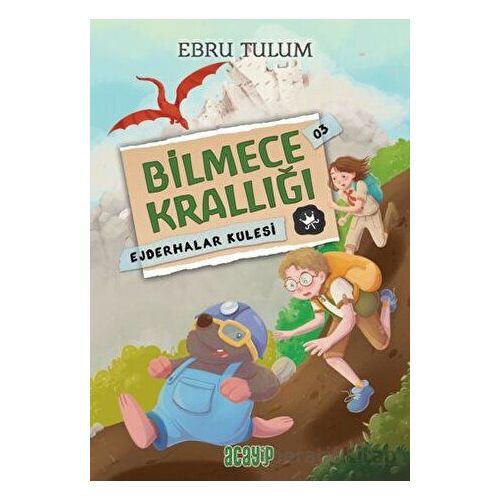 Bilmece Krallığı 3 - Ejderhalar Kulesi - Ebru Tulum - Acayip Kitaplar