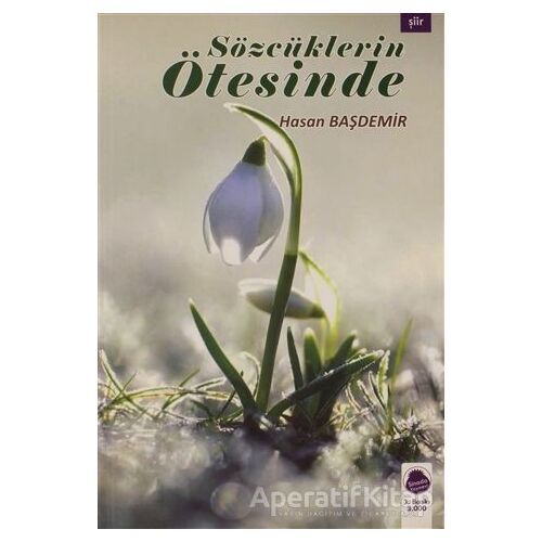 Sözcüklerin Ötesinde - Hasan Başdemir - Sinada Kitap