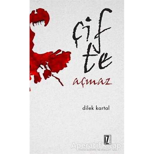 Çifte Açmaz - Dilek Kartal - İz Yayıncılık