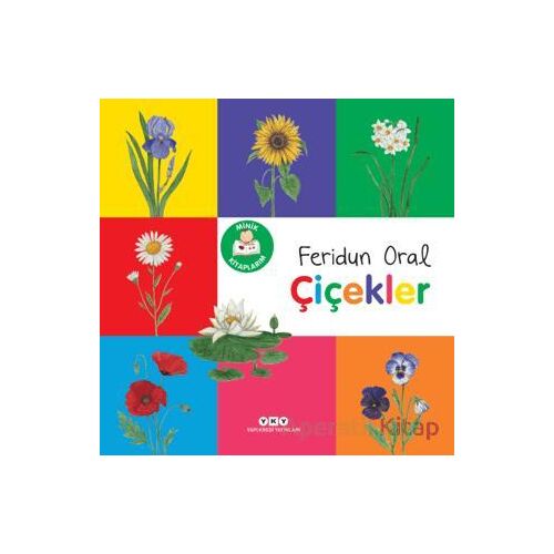 Minik Kitaplarım - Çiçekler - Feridun Oral - Yapı Kredi Yayınları