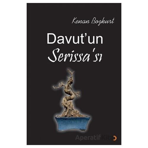Davut’un Serissa’sı - Kenan Bozkurt - Cinius Yayınları
