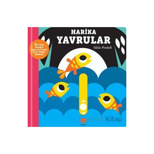 Kaydır ve Gülümse Harika Yavrular - Natalie Marshall - Uçan Fil Yayınları