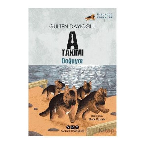 A Takımı İz Sürücü Köpekler 1 - A Takımı Doğuyor - Gülten Dayıoğlu - Yapı Kredi Yayınları