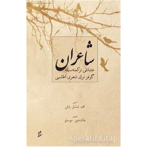Şairan - Kolektif - Okur Kitaplığı
