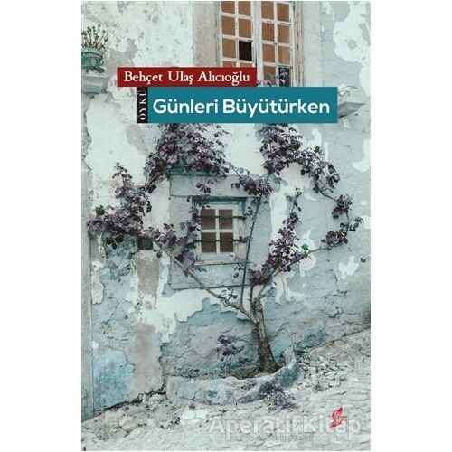 Günleri Büyütürken - Behçet Ulaş Alıcıoğlu - Okur Kitaplığı