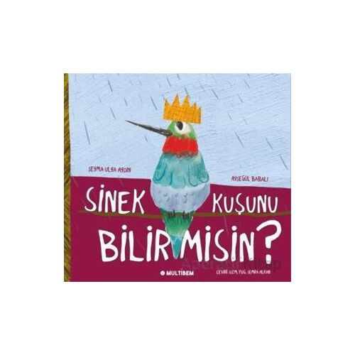 Sinek Kuşunu Bilir Misin? - Şeyma Ulya Aydın - Multibem Yayınları