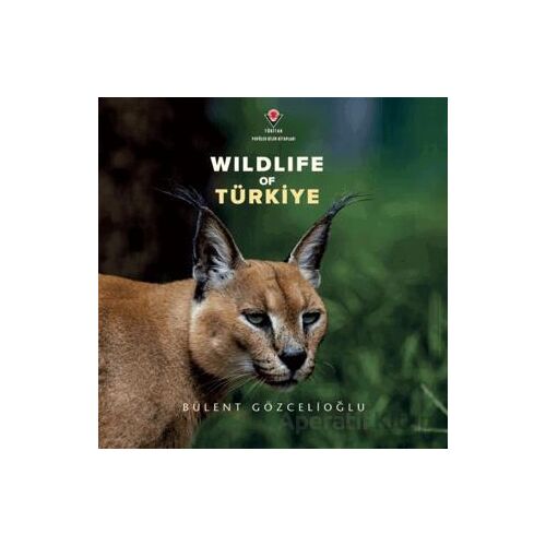 Wildife Of Türkiye - Bülent Gözcelioğlu - TÜBİTAK Yayınları