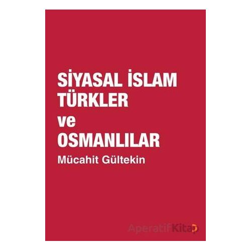 Siyasal İslam Türkler ve Osmanlılar - Mücahit Gültekin - Cinius Yayınları