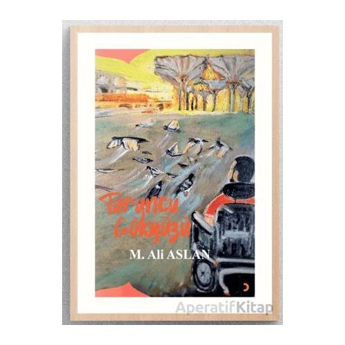 Turuncu Gökyüzü - Mehmet Ali Aslan - Cinius Yayınları