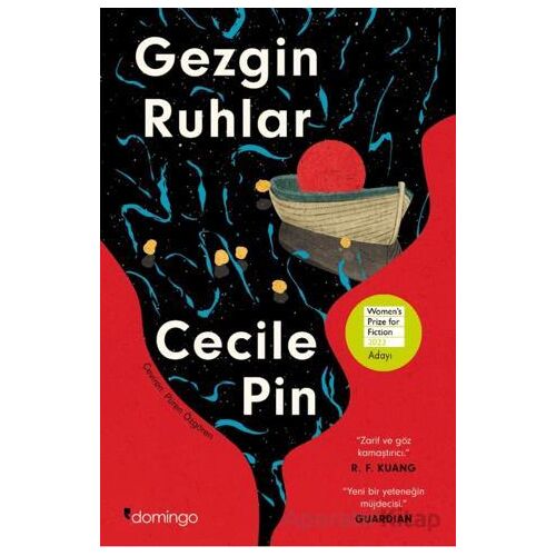Gezgin Ruhlar - Cecile Pin - Domingo Yayınevi