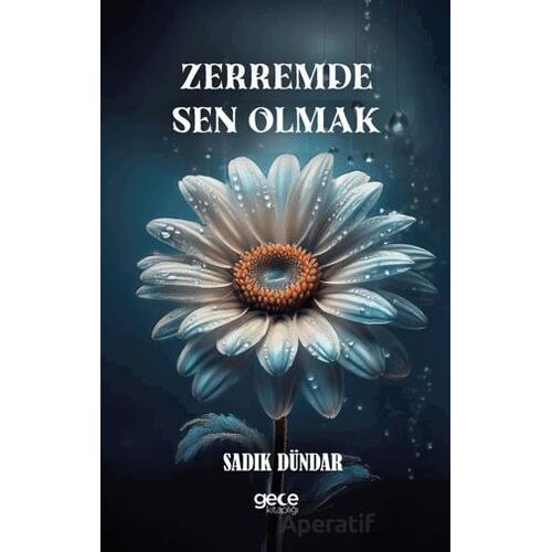 Zerremde Sen Olmak - Sadık Dündar - Gece Kitaplığı
