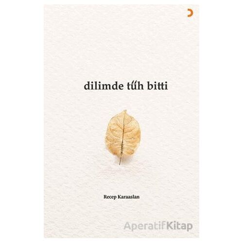 Dilimde Tüh Bitti - Recep Karaaslan - Cinius Yayınları