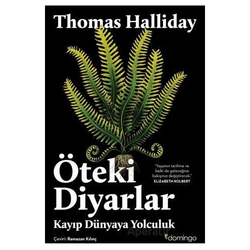 Öteki Diyarlar: Kayıp Dünyaya Yolculuk - Thomas Halliday - Domingo Yayınevi