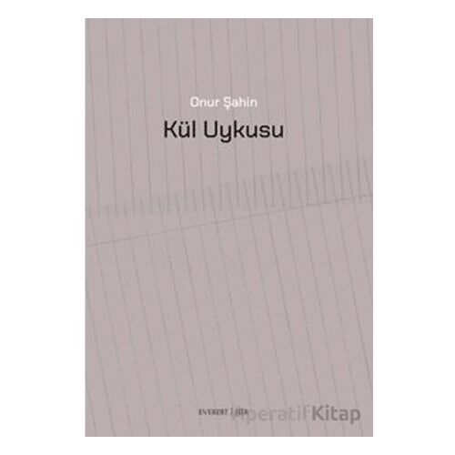 Kül Uykusu - Onur Şahin - Everest Yayınları