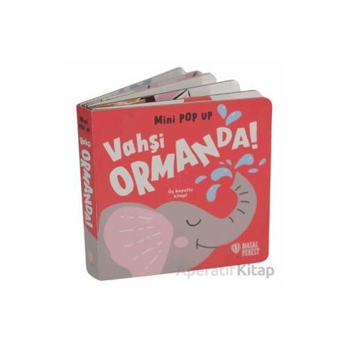 Mini Pop Up - Vahşi Ormanda - Kolektif - Masalperest