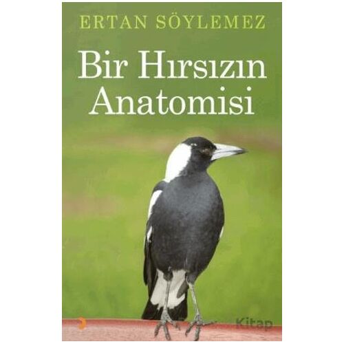 Bir Hırsızın Anatomisi - Ertan Söylemez - Cinius Yayınları