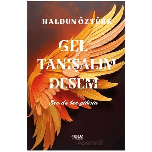 Gel Tanışalım Desem-Sen de Ben Gibisin - Haldun Öztürk - Gece Kitaplığı