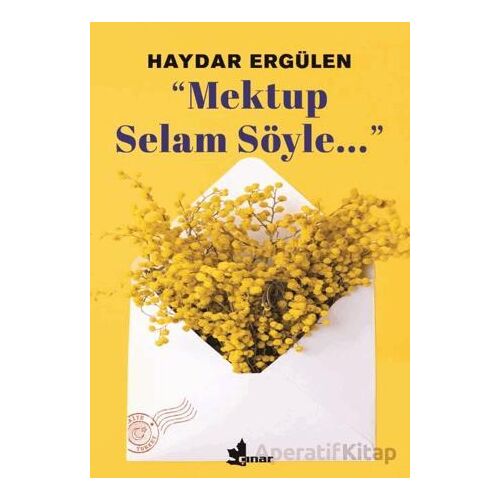 Mektup Selam Söyle - Haydar Ergülen - Çınar Yayınları