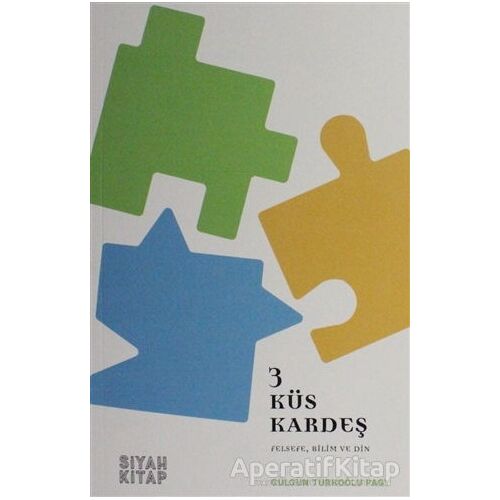 3 Küs Kardeş - Gülgün Türkoğlu Pagy - Siyah Kitap